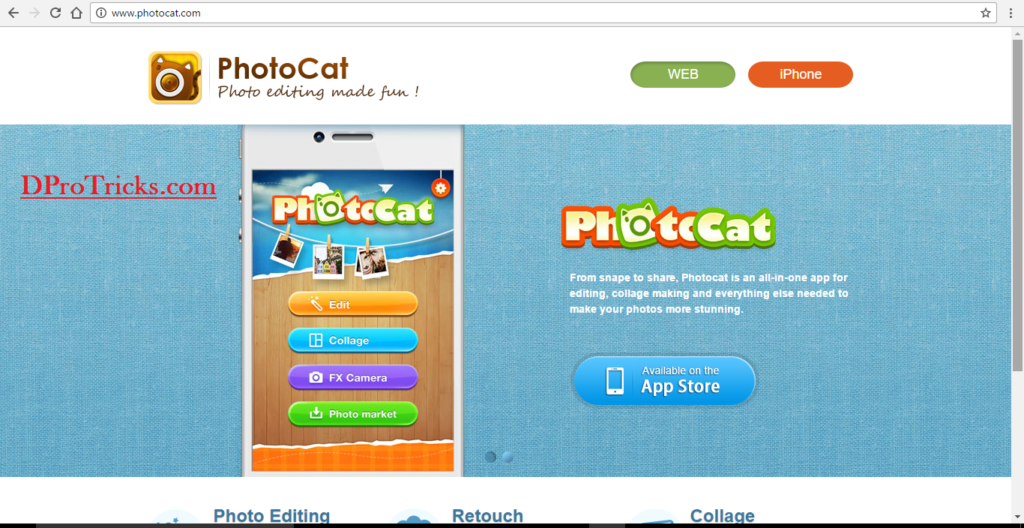 Photocata online Photo