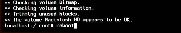 File System Check Exit Code is 8 6