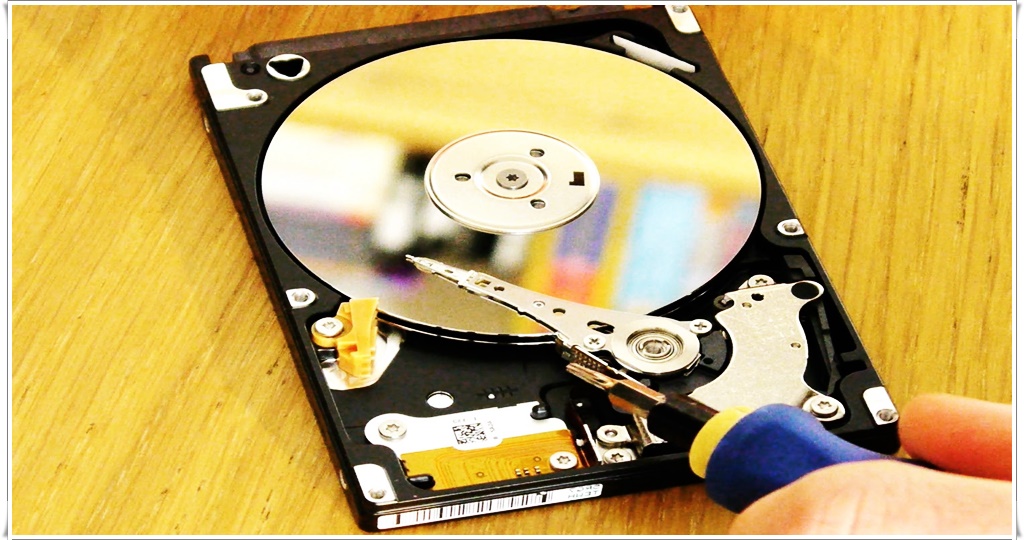 New Hard Drive Not Showing Up